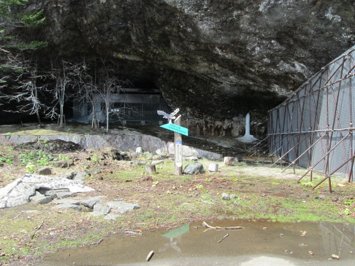 道東の旅 13 春 163 羅臼のひかりごけ Bojan International