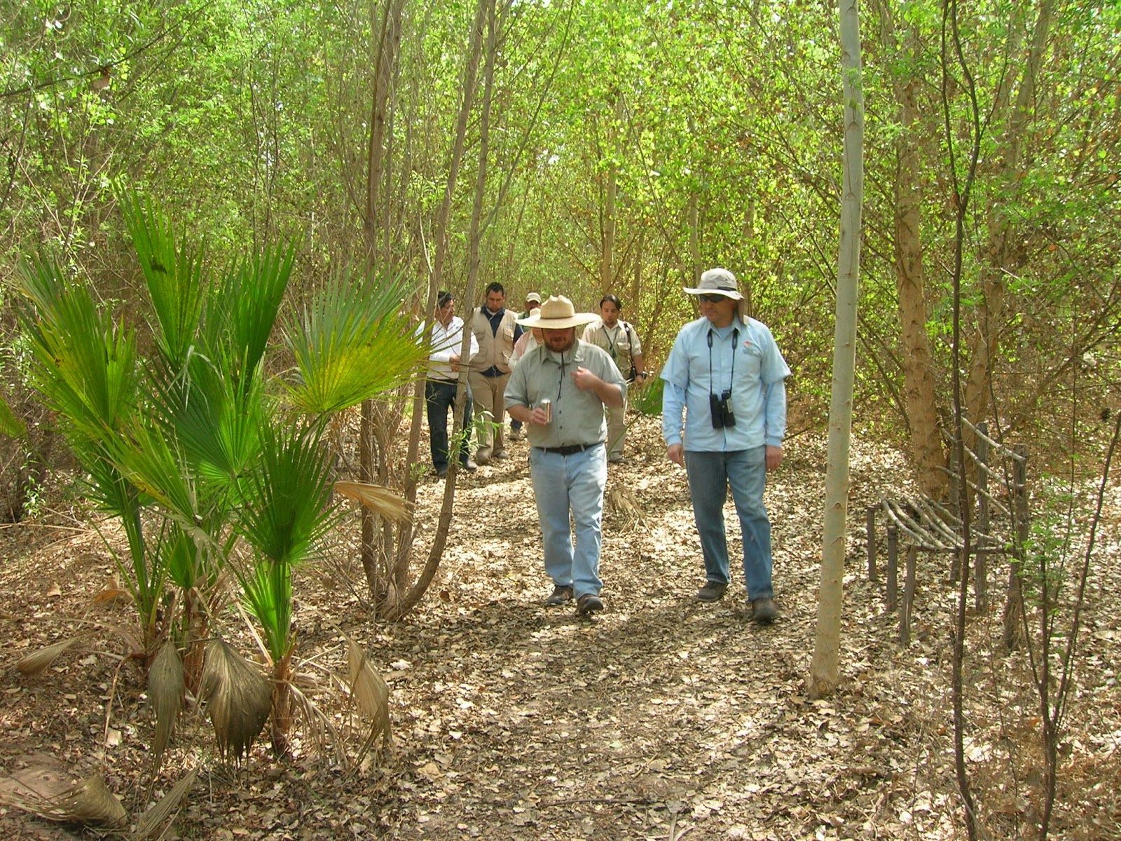 El Informante Revive flujo pulso bosques en Río Colorado