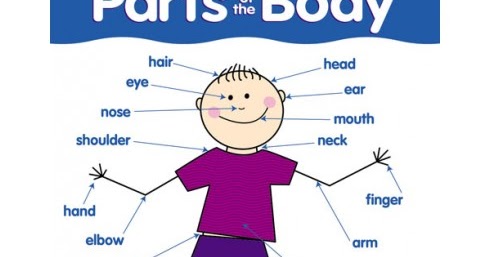 FRANC'S CORNER: 1st GRADE