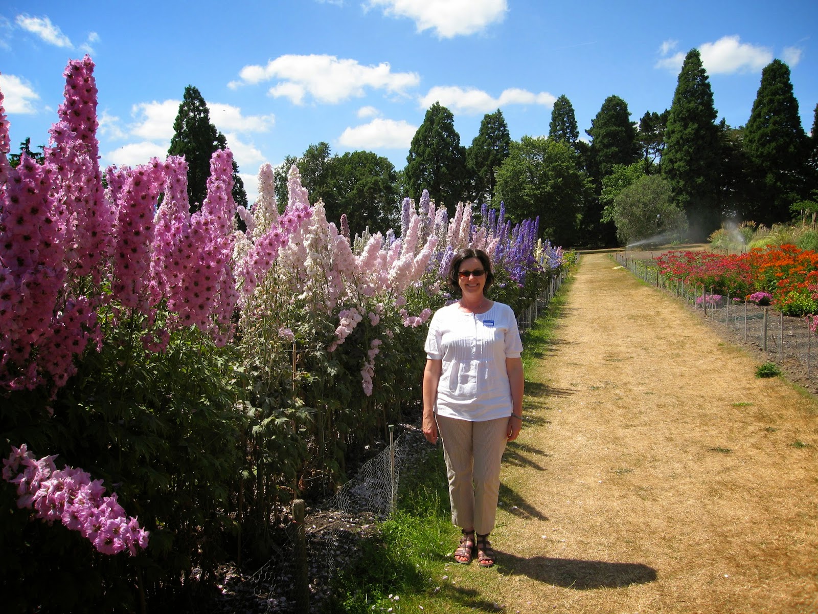 Gardening Improves Health Try These Tips Plus The Best Scented