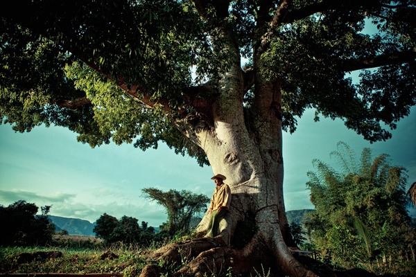 Tobacco Photography