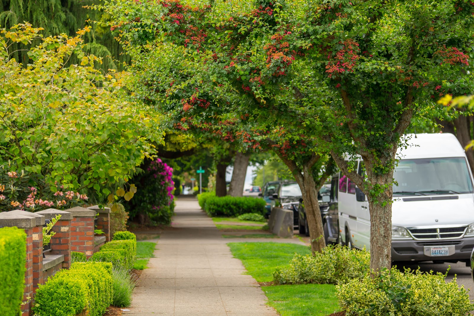 Парк Керри находится в центре престижного района Квин Энн. Полюбовавшись панорамой даунтауна, мы отправились погулять по его зелёным улицам.