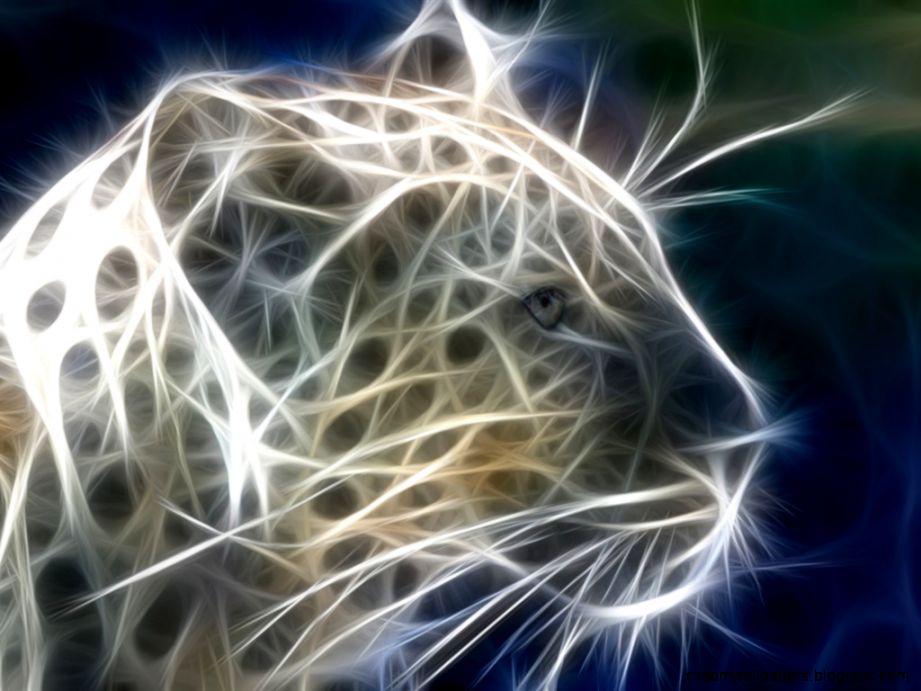 cool backgrounds animal Free Large Images cool backgrounds animal Free Large Images