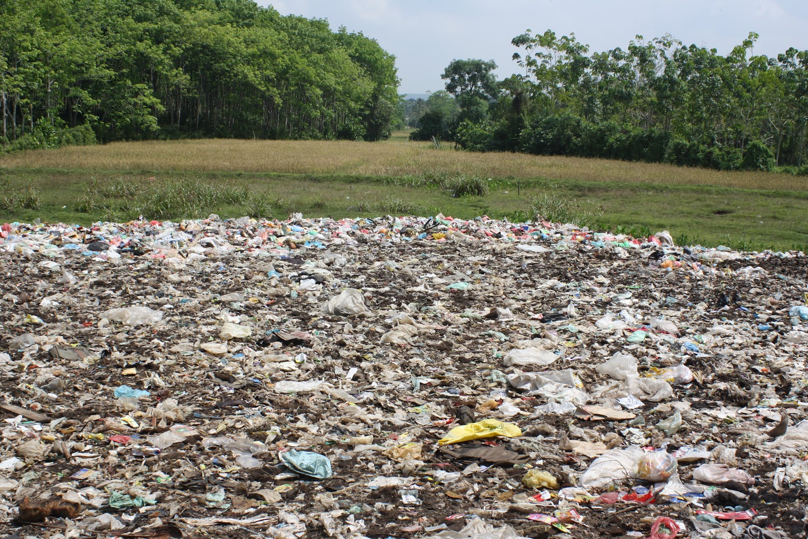 Senel's blog. Managing Waste, the Sri Lankan Perspective