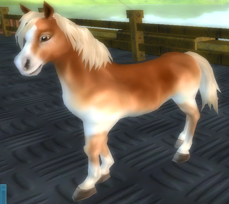 Star Stable Daily Horse Breeds