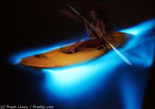 La Bahia Fosforescente