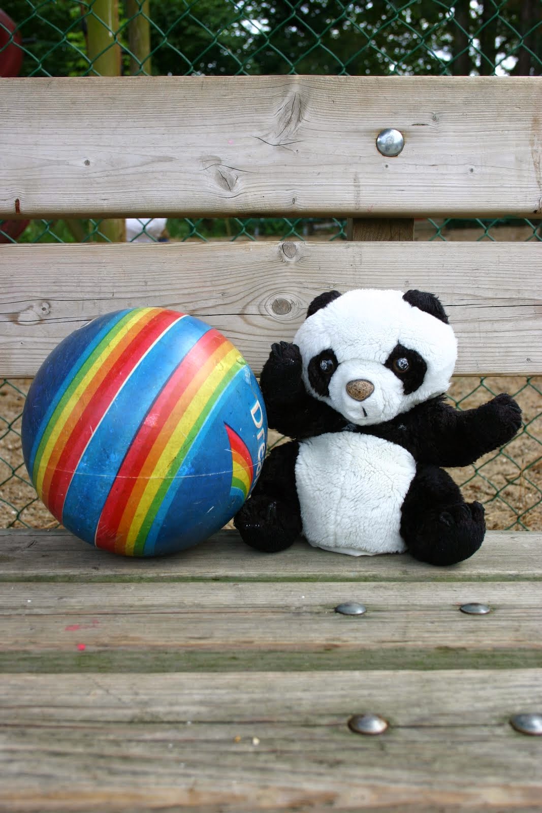 Onze klaspop Panda