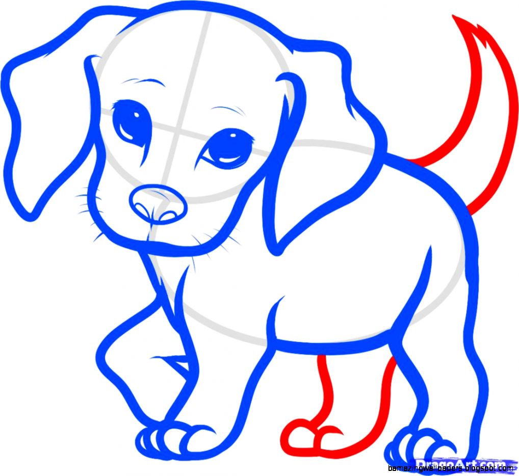 How to Draw a Beagle Puppy Beagle Puppy Step by Step Pets How to Draw a Beagle Puppy Beagle Puppy Step by Step Pets