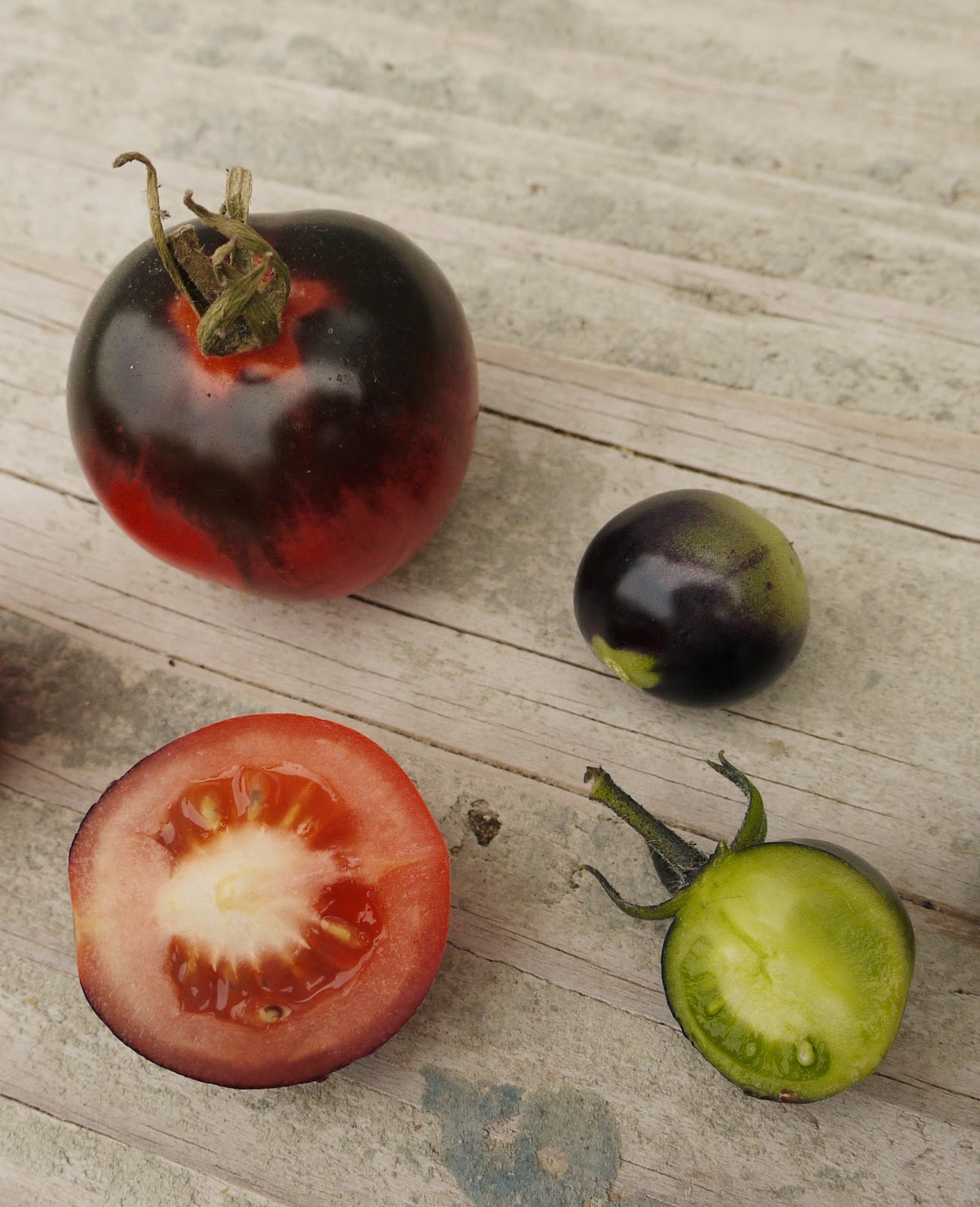 HiveQueen Evil tomatoes, part 2