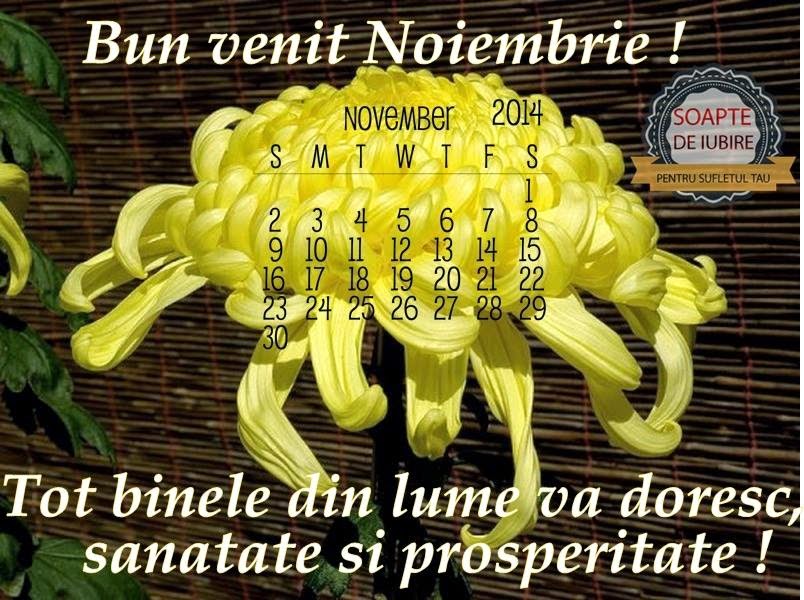 bine ai venit