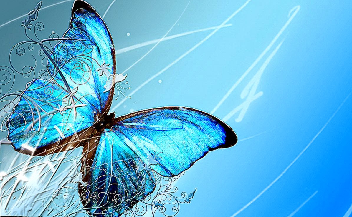 Blue Butterfly Hd Wallpaper For Desktop