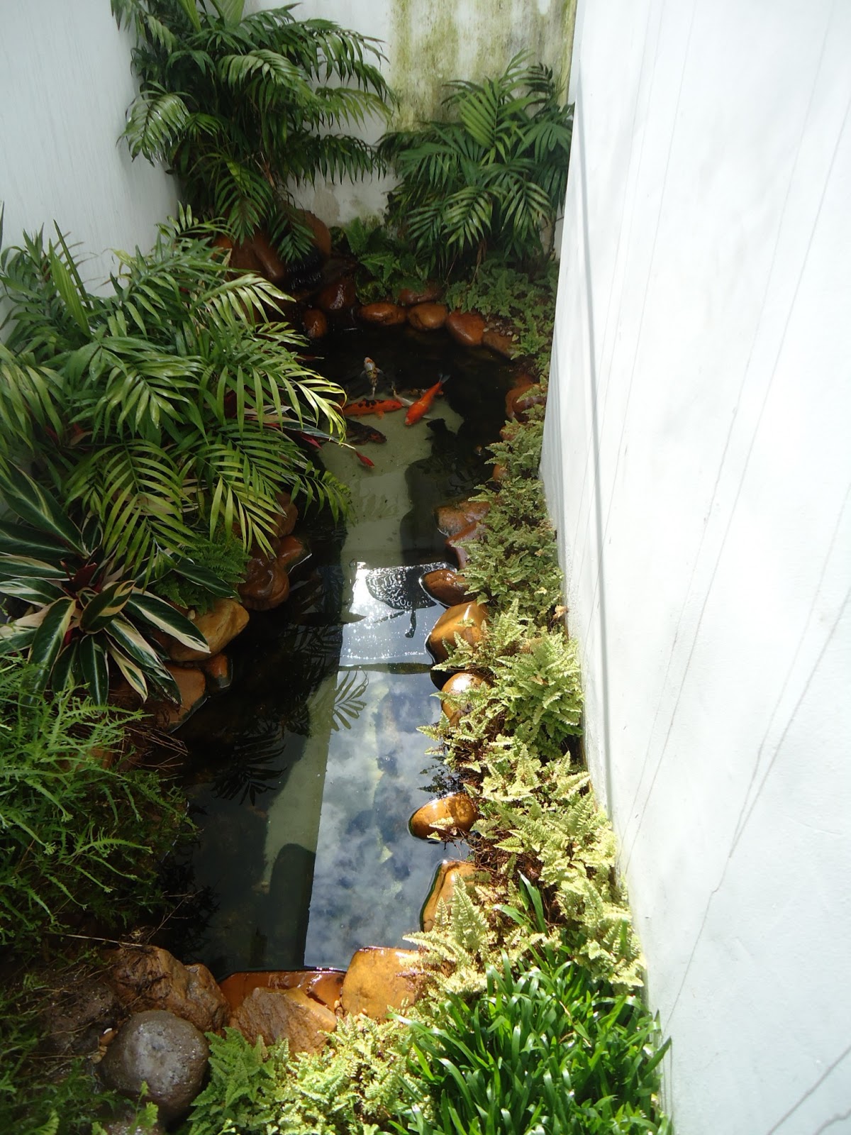 Lagos Ornamentais Projetos e Equipamentos Lago ornamental pequeno Jardim