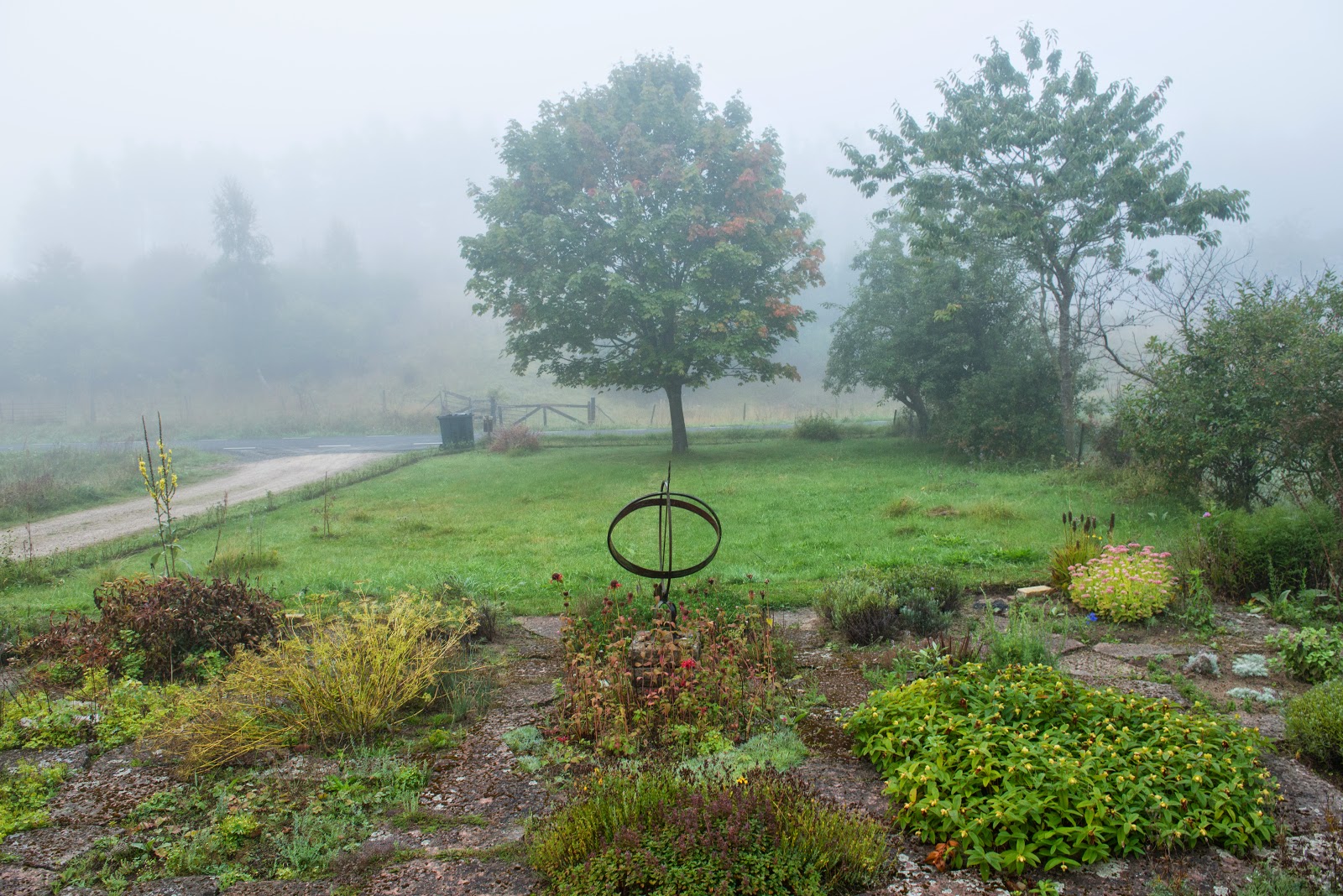 Drakängens trädgård: trädgård