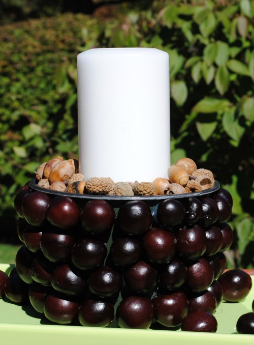 conker candle center piece