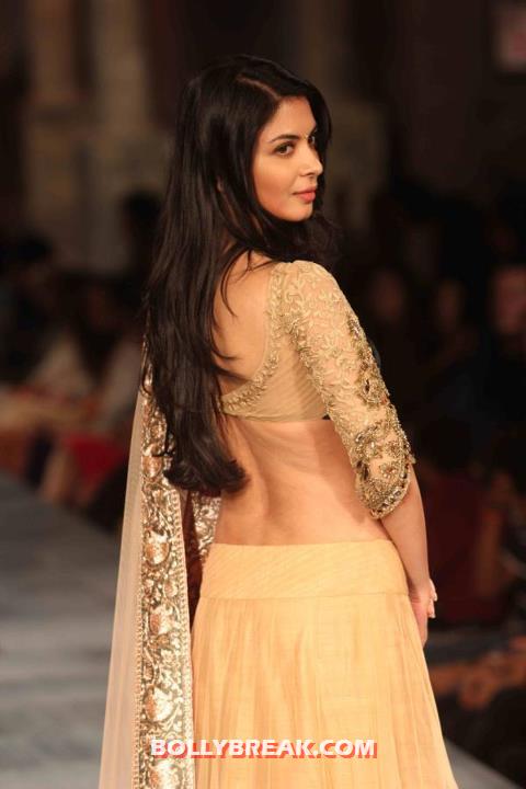Ankita Shorey Hot back - (5) - Ankita Shorey Navel Show - Manish Malhotra Mijwan Fashion Show 2012