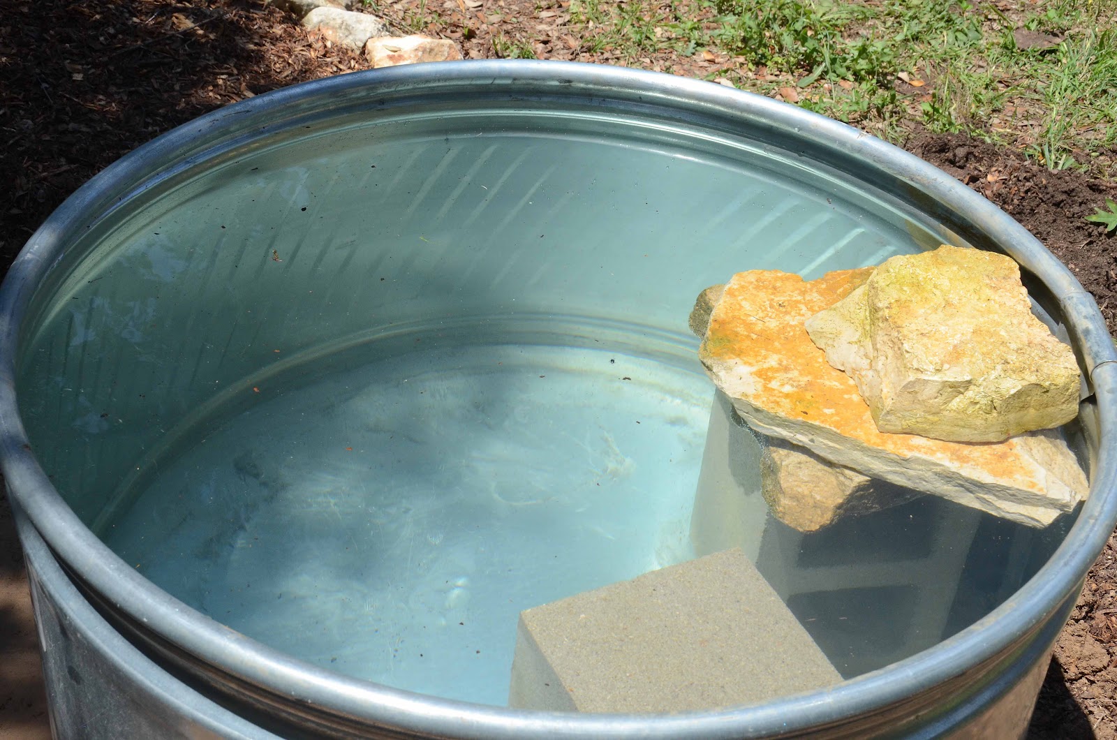 Window on a Texas Wildscape How we made our stock tank