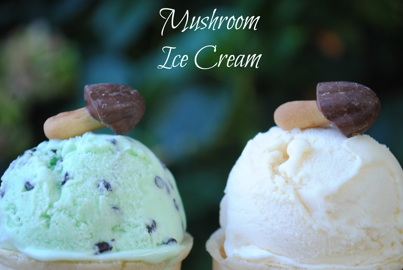 Jac o’ lyn Murphy: Mushroom Ice Cream