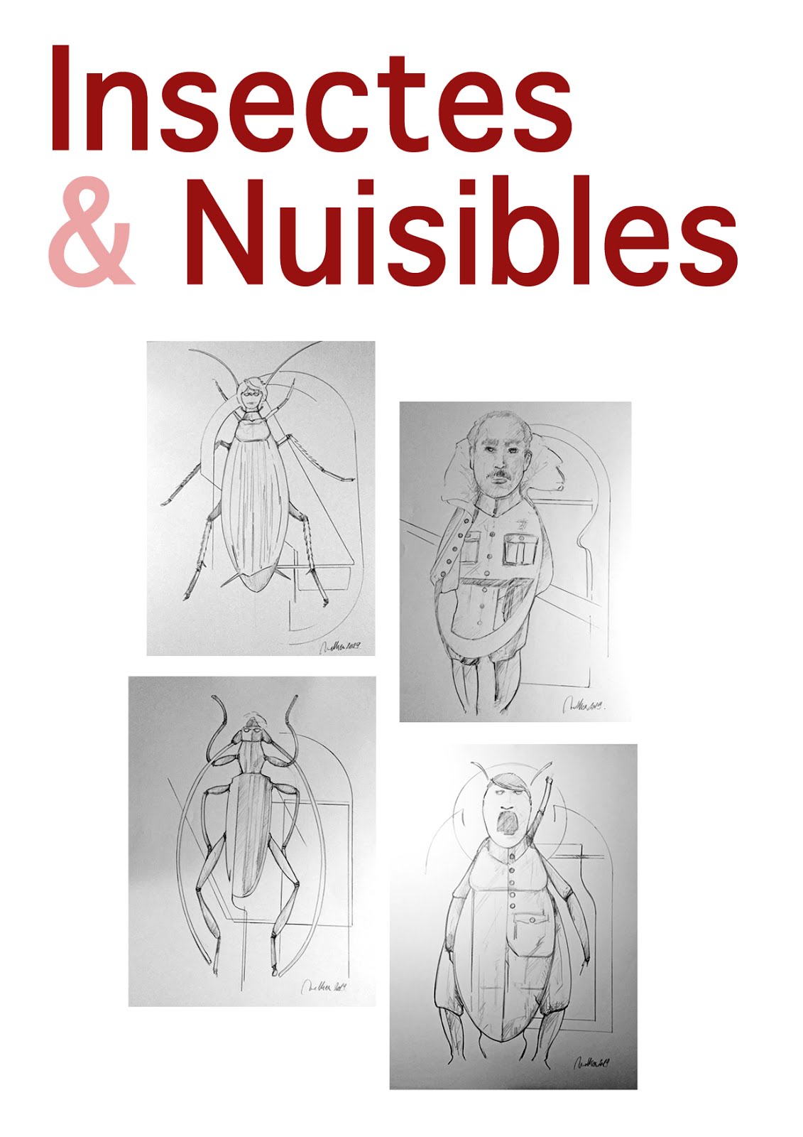 2019 - Insectes & Nuisibles