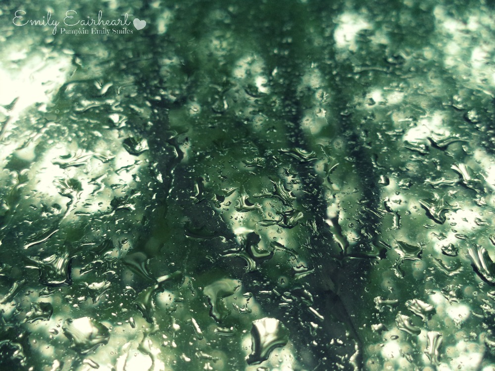 Water droplets on a window and a tree in the background.