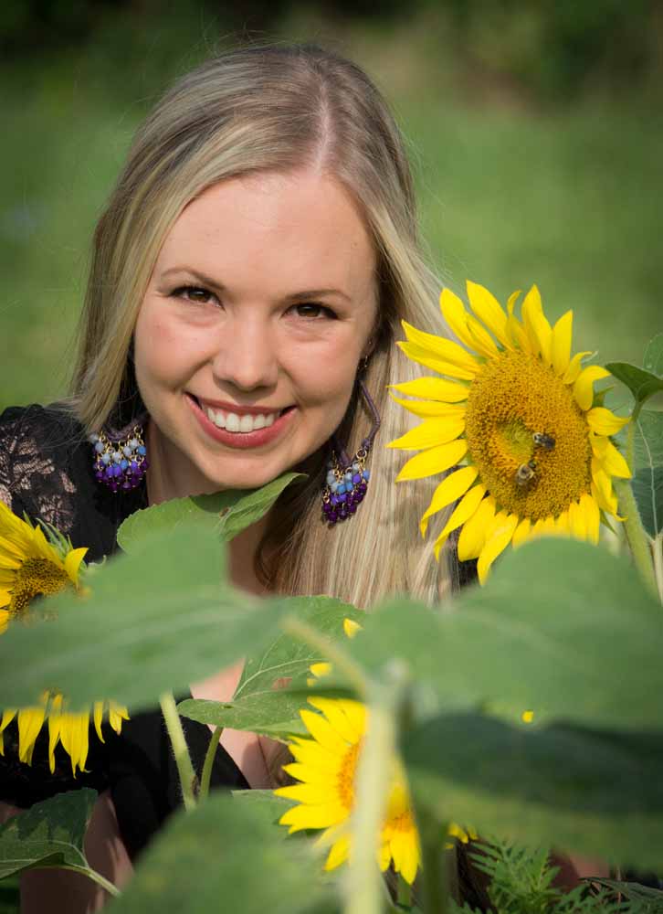 My Daily Photo Walk Day 328 Back to the Sunflowers
