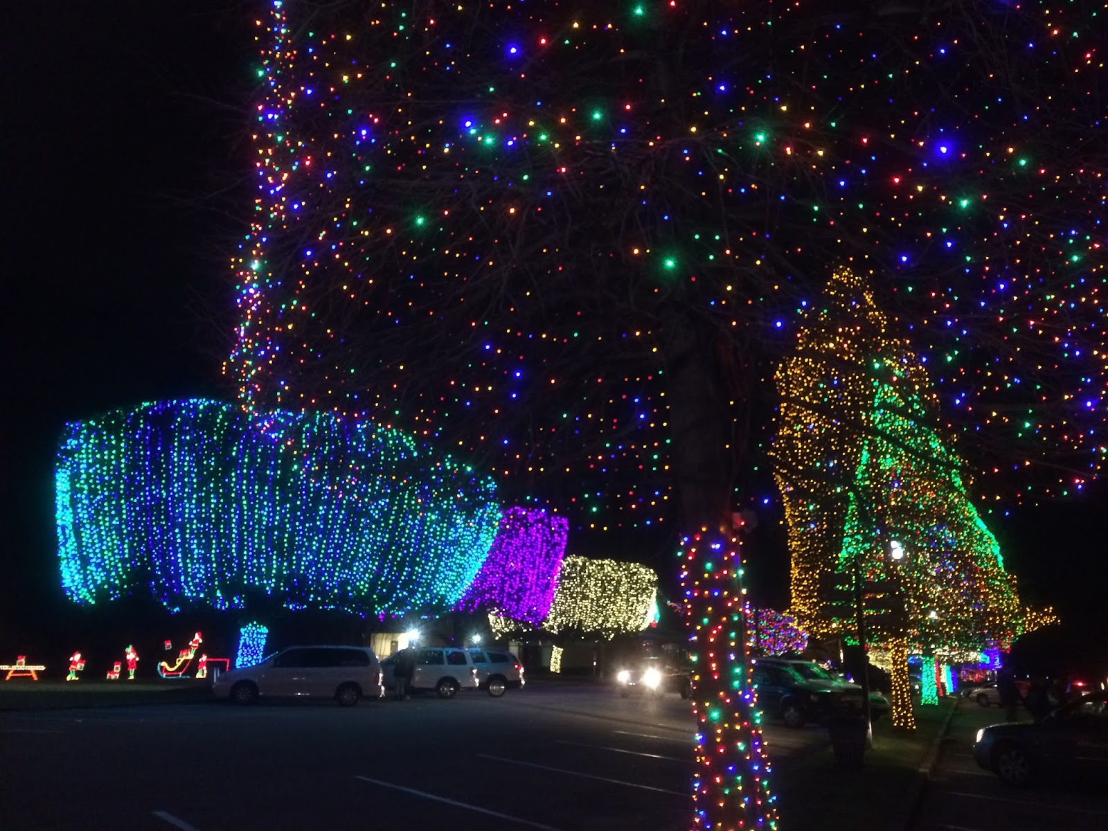 All Things Midlands {Around Town} Fantasy of Lights at Swan Lake Iris