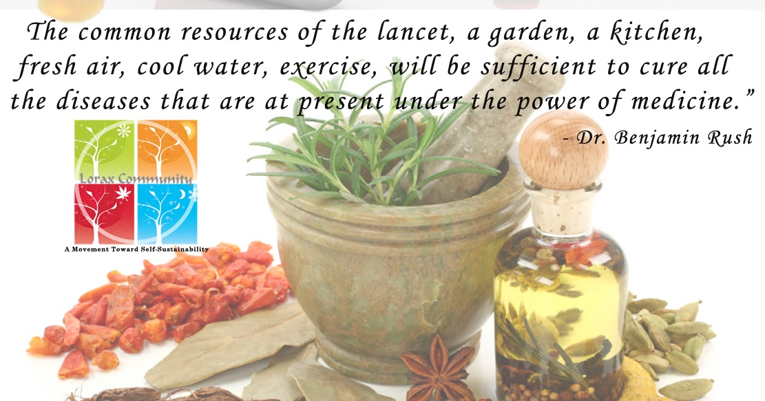 Lorax Community Herbs for Healing Useful Quotes & Book