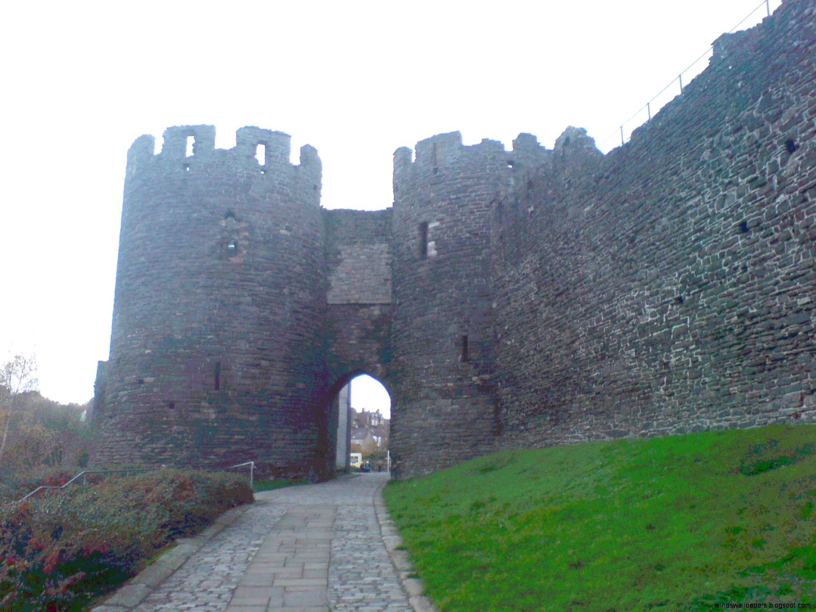 Original file 2048 × 1536 pixels file size 528 MB MIME Original file 2048 × 1536 pixels file size 528 MB MIME