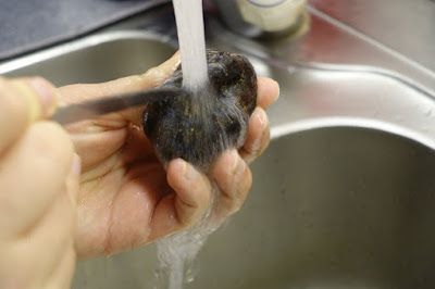 picture of black truffle being washed
