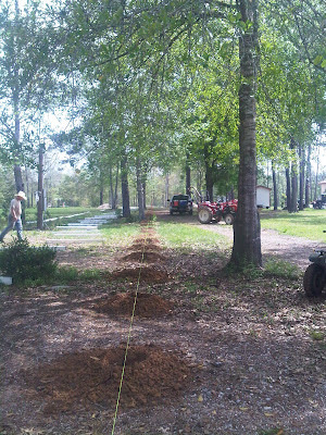 IMG00464-20120315-1229.jpg