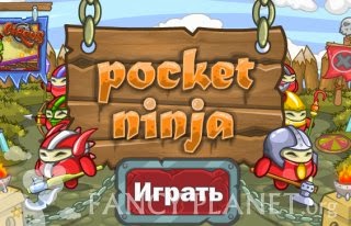 pocket-ninja