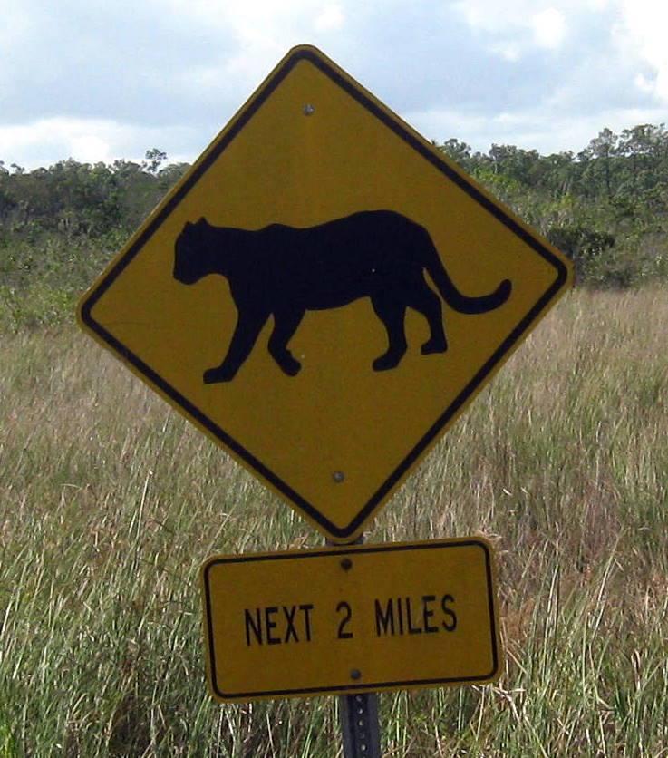 animal crossing signs everywhere