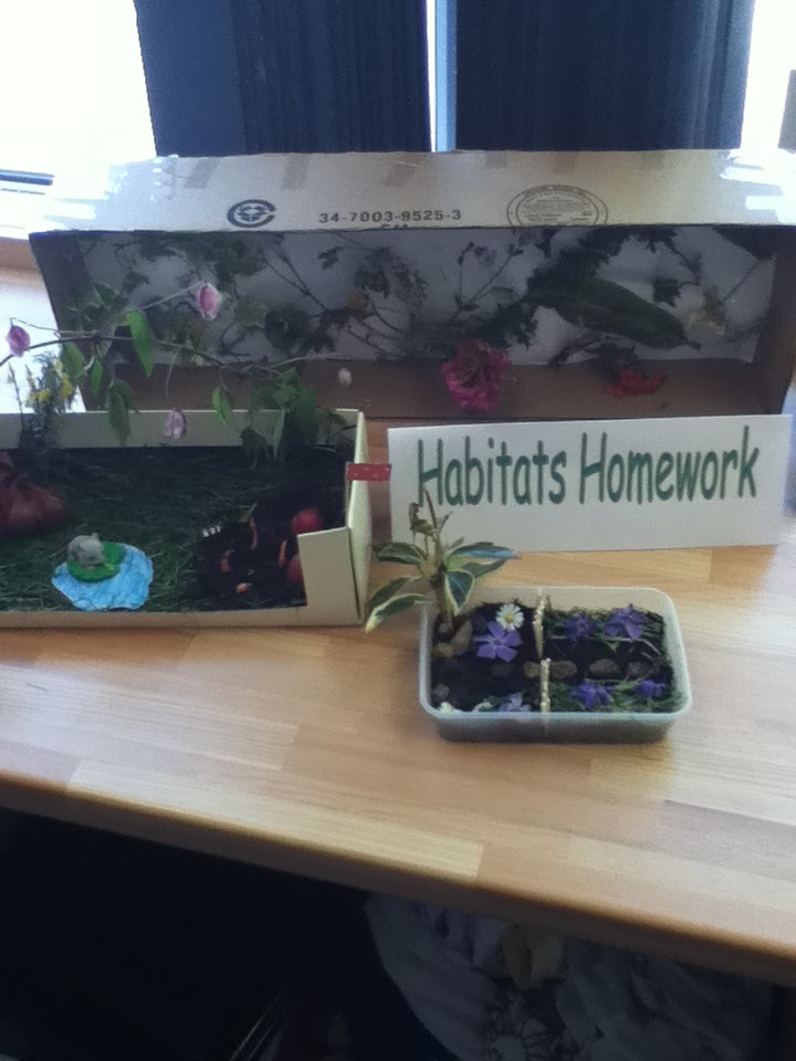 Living things and their habitats worksheets image