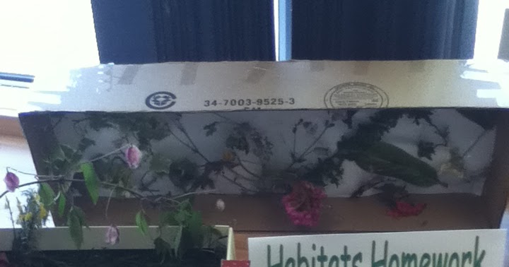 Living things and their habitats worksheets picture