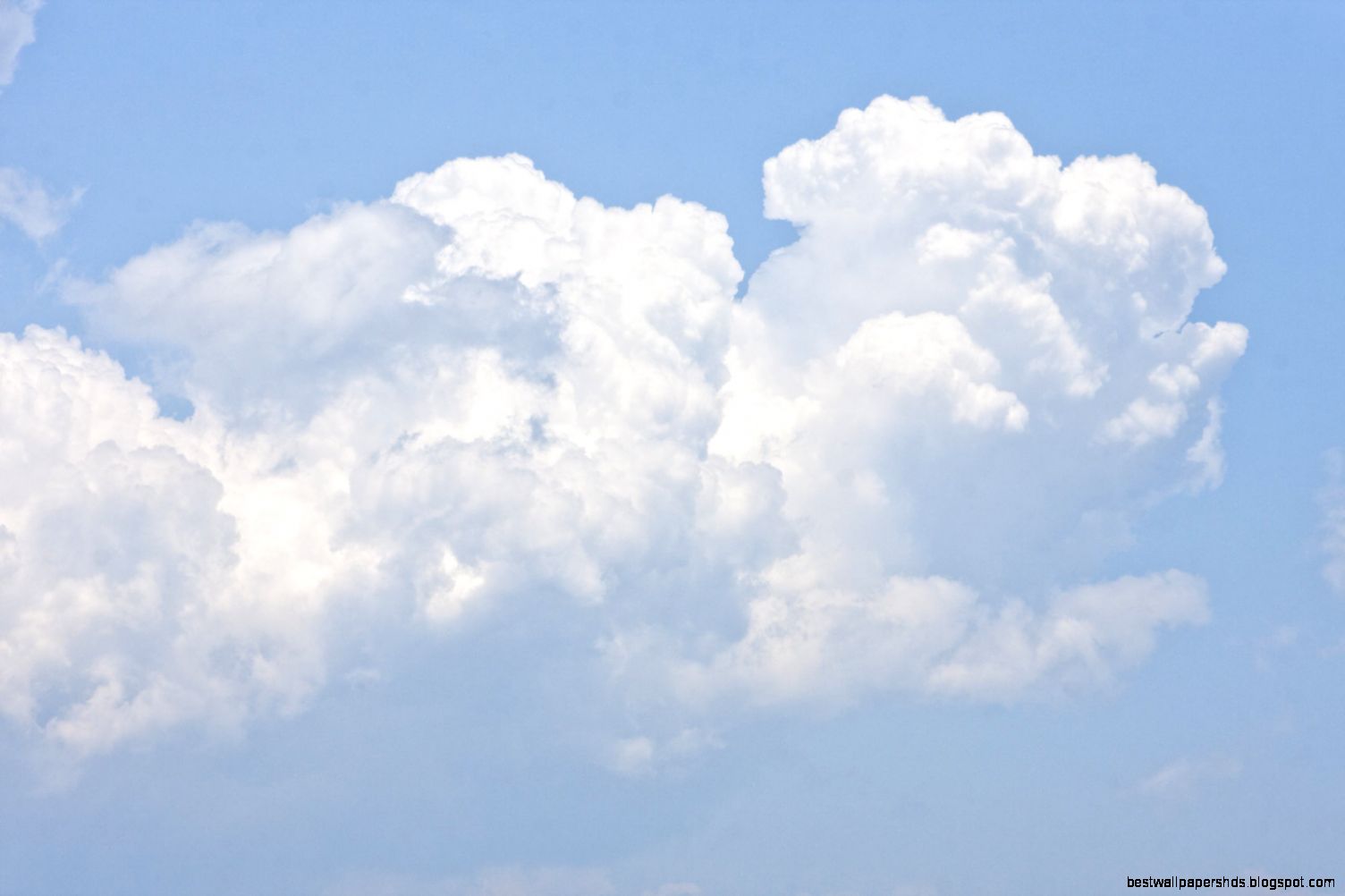 Puffy White Cloud by muffet1 on DeviantArt Puffy White Cloud by muffet1 on DeviantArt