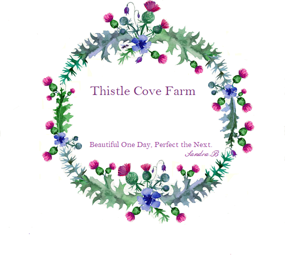 Thistle Cove Farm