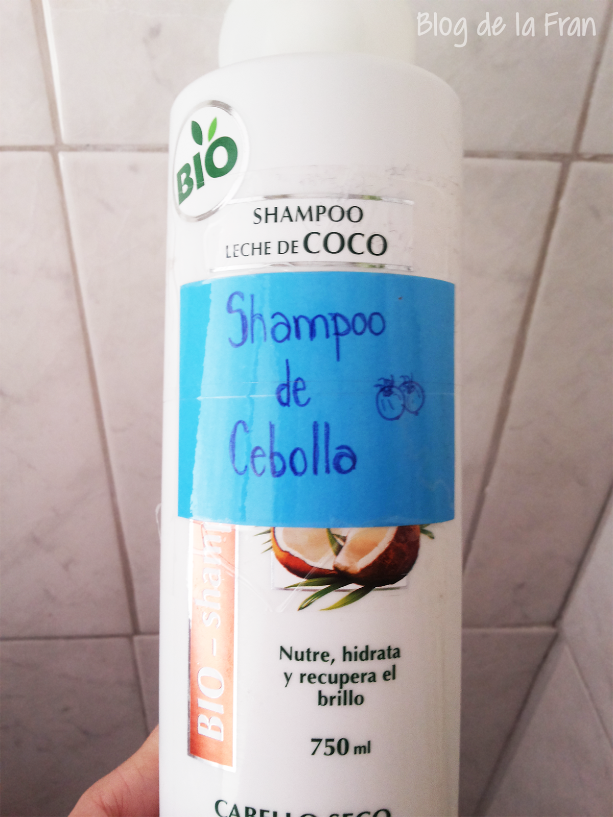 1ra parte Shampoo de Cebolla para el Crecimiento del Cabello Como