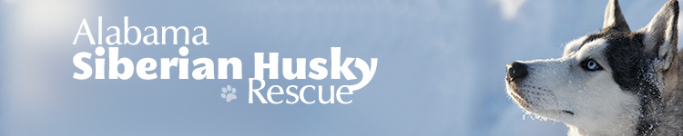 Alabama Siberian Husky Rescue