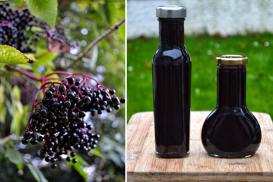 Healthy and Easy to Make Elderberry Syrup Recipe Lovely Greens