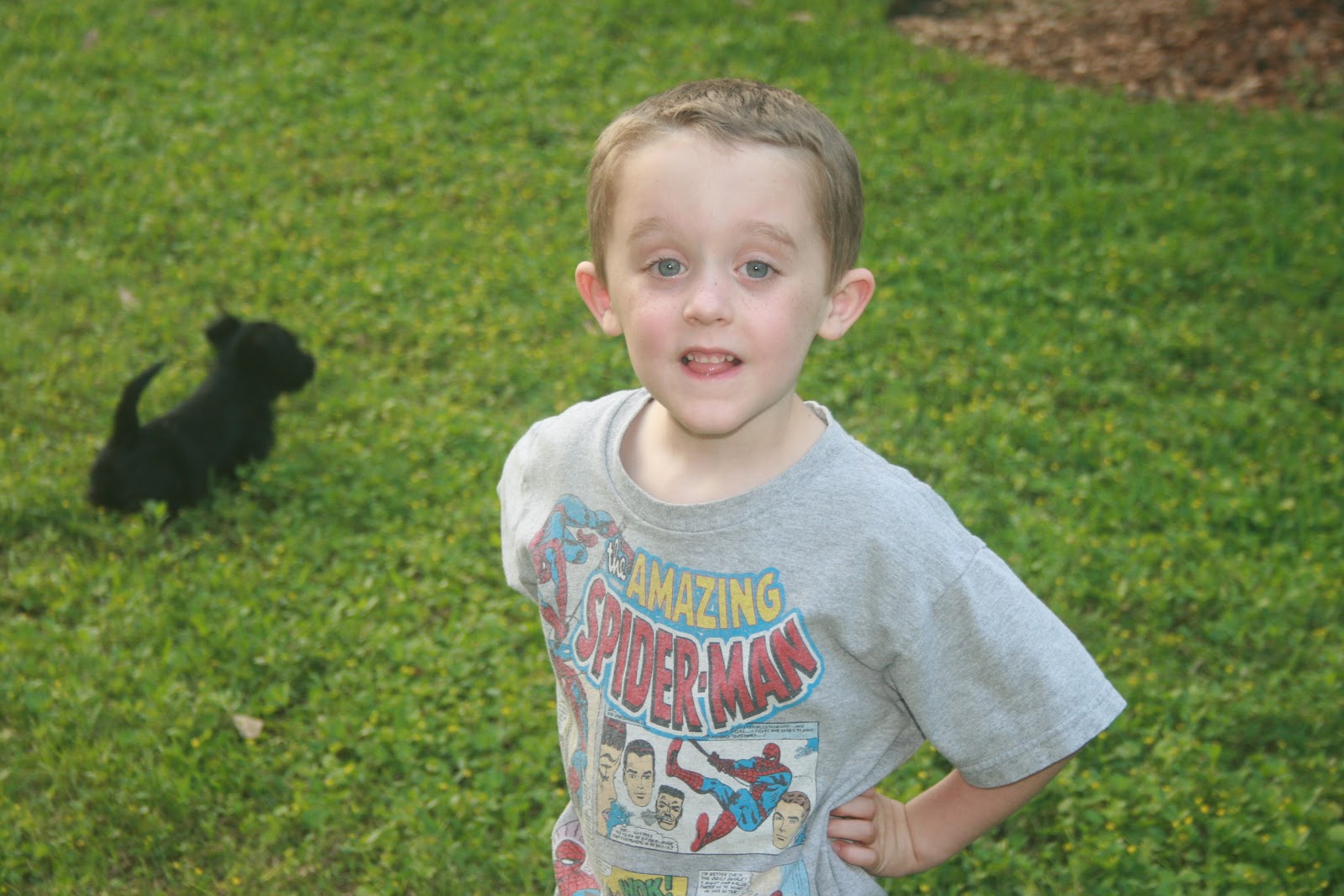 Puppies Outside
