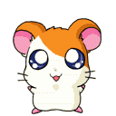 hamtaro.gif