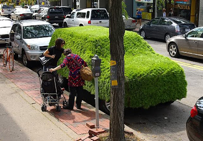 Car Covered with Grass