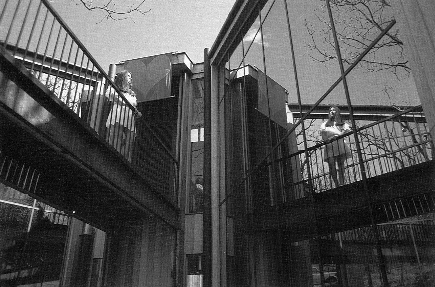 Paradise Backyard James Lambeth