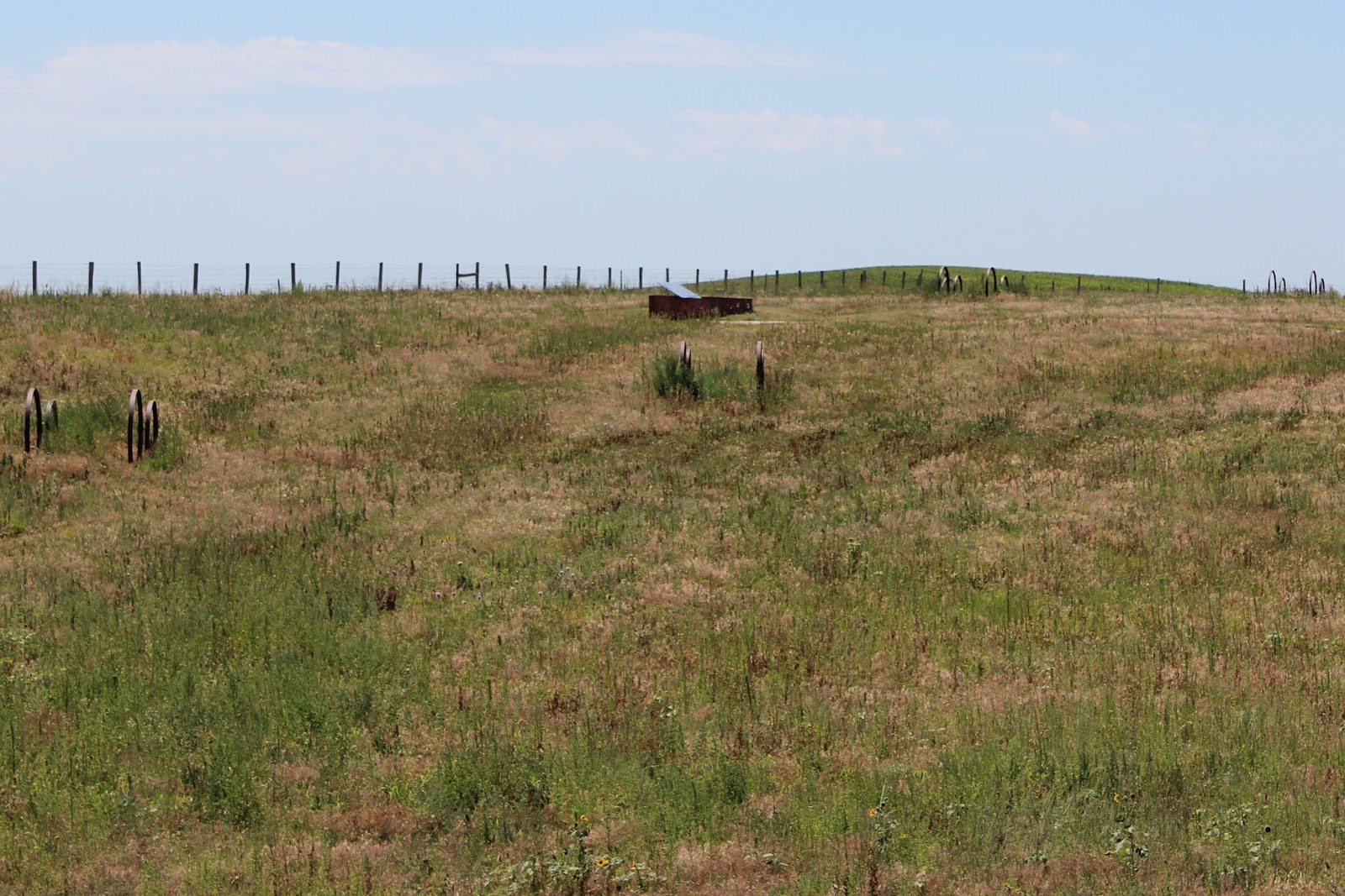 Sunday Stories Exploration and Trails