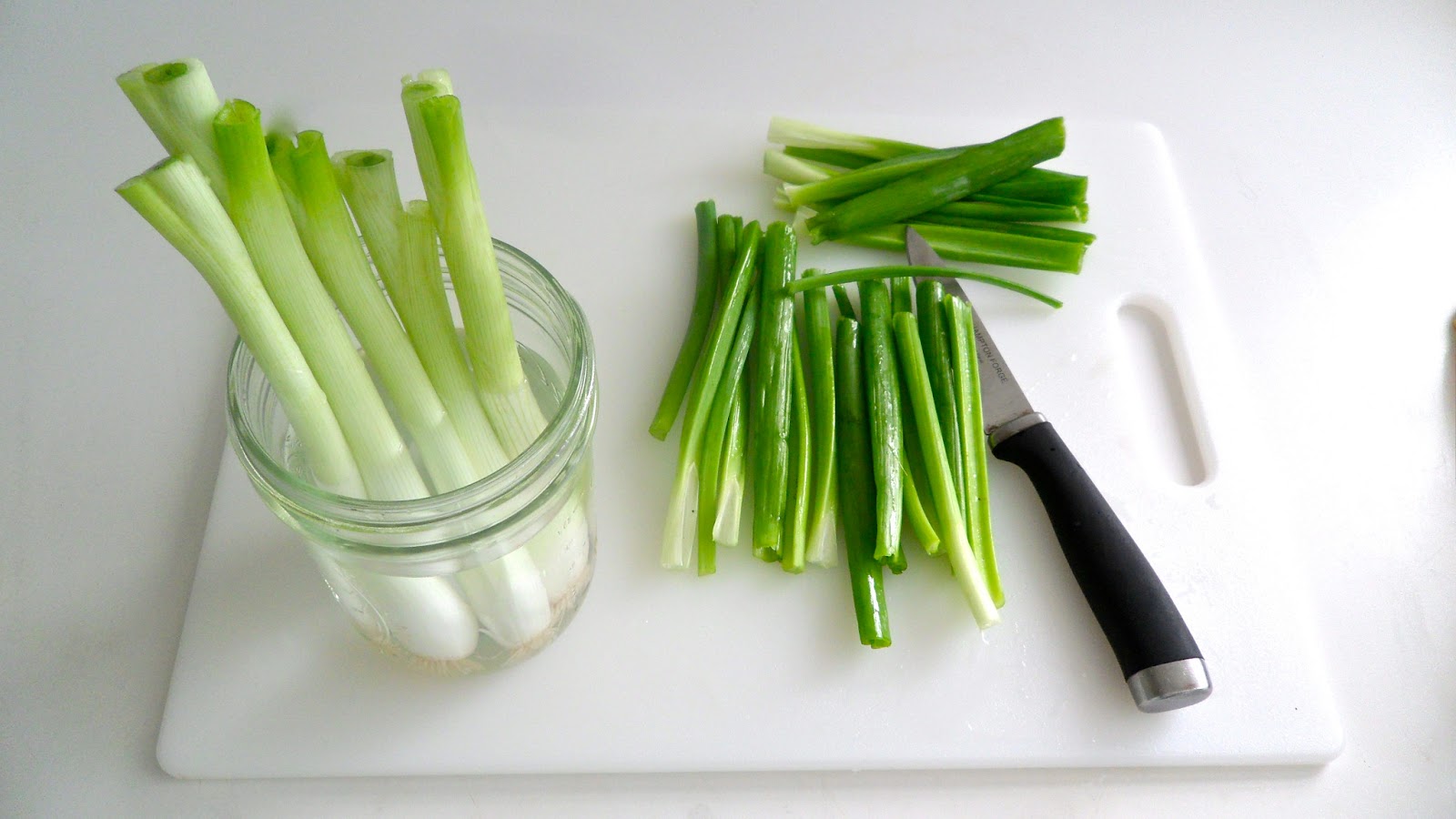 Happily Rambling Regrow Green Onions Tutorial