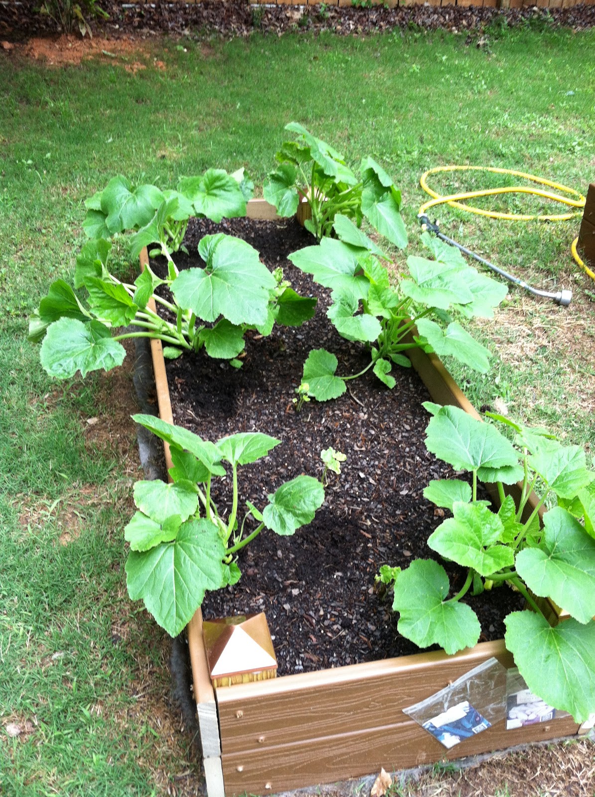 Two Sisters Gardening Raised Beds, Pay Off Early