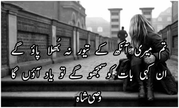 urdu poem meri nai cycle urdu poem meri nai cycle