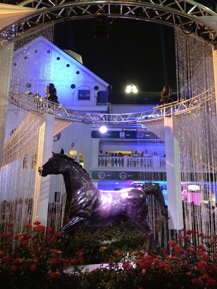 honey and horseshoes Downs After Dark Night racing