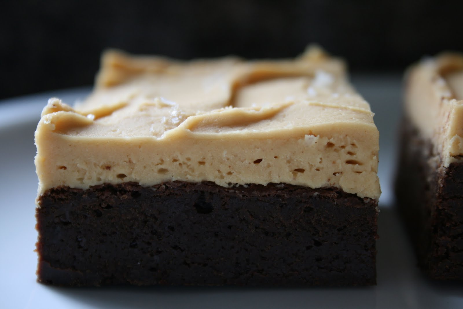 BREANNA'S RECIPE BOX Cocoa Brownies with Salted Peanut Butter Frosting