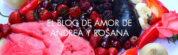 el blog de amor de andrea y rosana