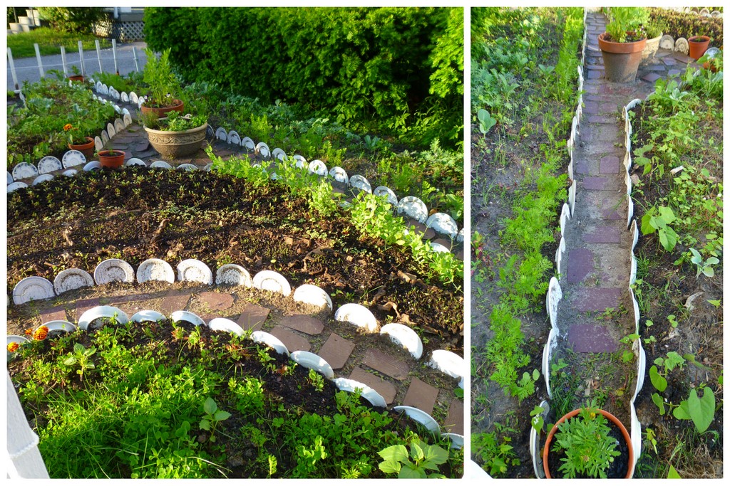 TEODECO Dish Garden / GeschirrGarten